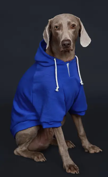 Cozy Fleece Dog Hoodie